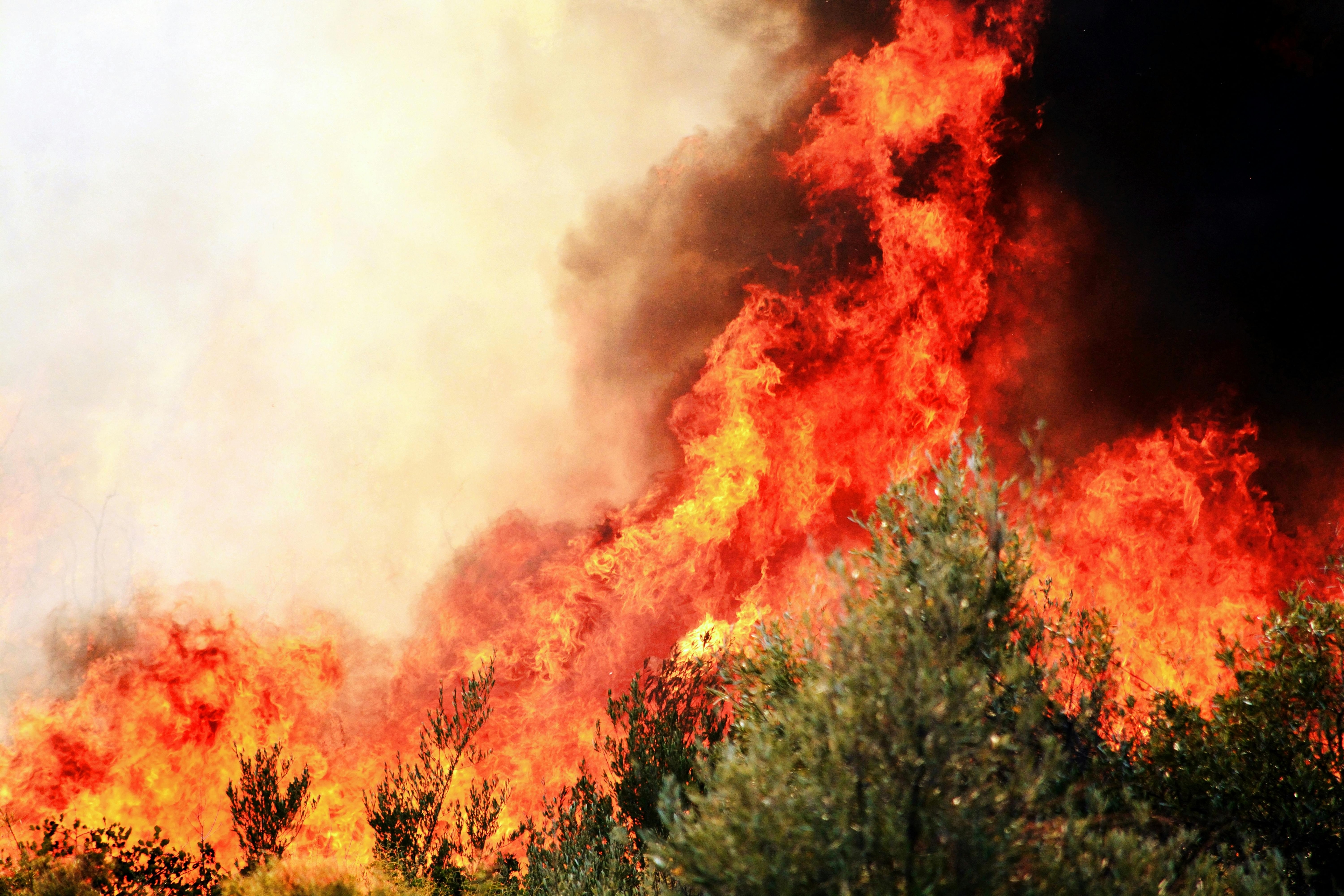picture of a wildfire in a field